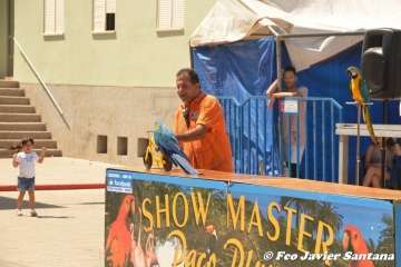 Espectáculo de aves exóticas de Paco Pluma en El Caracol (Foto Francisco Javier Santana)
